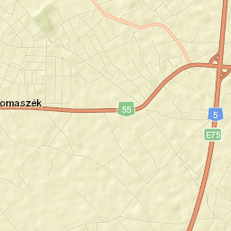 Domaszék Street Map