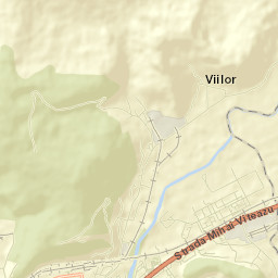 Viilor Street Map