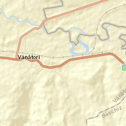 Vânători Street Map