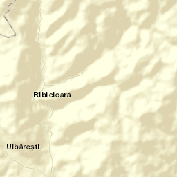 Comuna Ribiţa Street Map