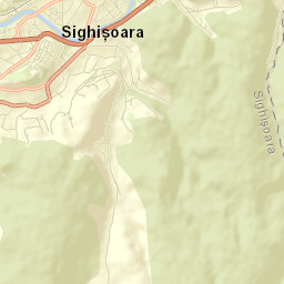 Sighișoara Street Map