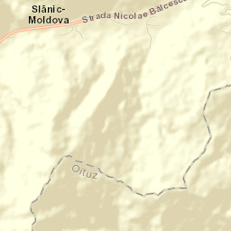 Oraş Slãnic-Moldova Street Map