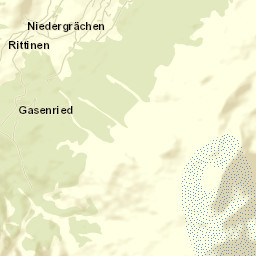 Visp District Street Map