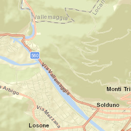 Losone Street Map