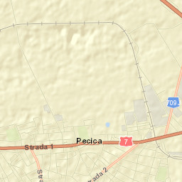 Pecica Street Map