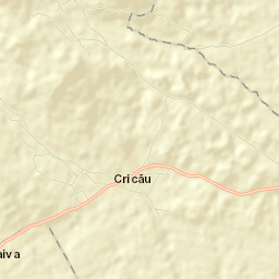 Cricău Street Map