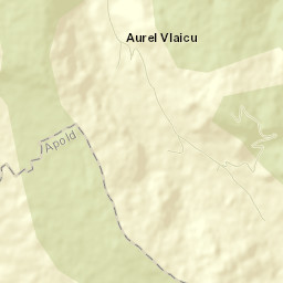 Aurel Vlaicu Street Map