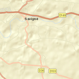 Savigné Street Map