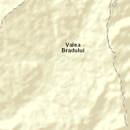 Municipiul Brad Street Map