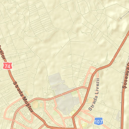 Micești Street Map