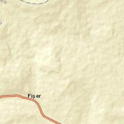 Fișer Street Map