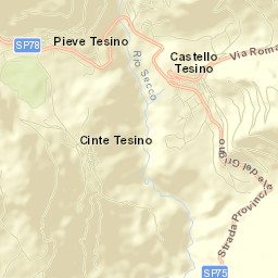 Castello Tesino Street Map