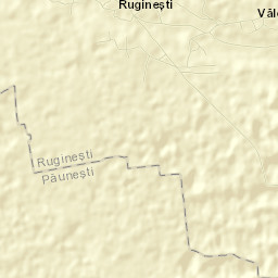 Rugineşti Street Map