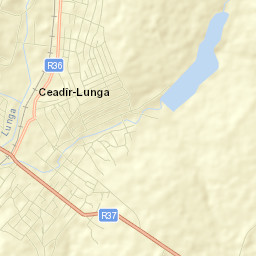Ceadîr-Lunga Street Map