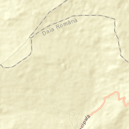 Daia Română Street Map