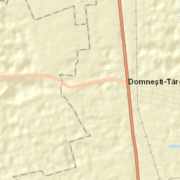 Domnești-Târg Street Map