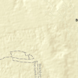 Brăhășești Street Map