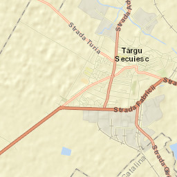 Târgu Secuiesc Street Map