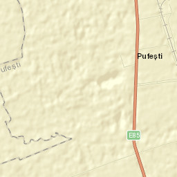 Pufeşti Street Map