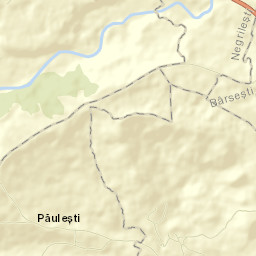 Păulești Street Map