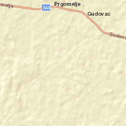 Gudovac Street Map