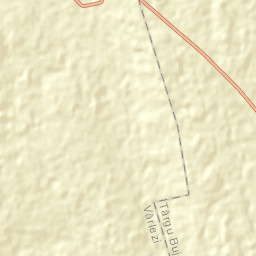 Târgu Bujor Street Map