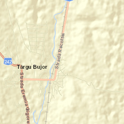 Oraș Târgu Bujor Street Map