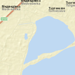 Medvedevka Street Map