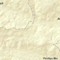 Peştişu Mic Street Map