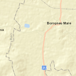 Boroşneu Mare Street Map