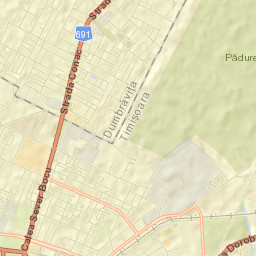 Dumbrăviţa Street Map
