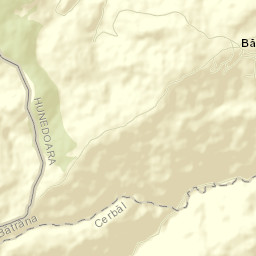 Bătrâna Street Map