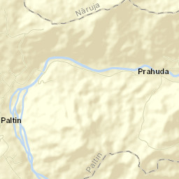 Comuna Paltin Street Map