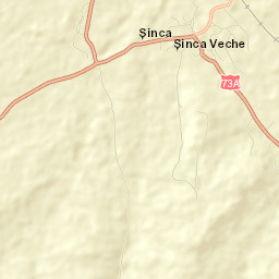 Şinca Veche Street Map