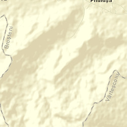 Comuna Broşteni Street Map