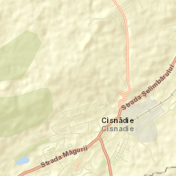 Cisnădie Street Map
