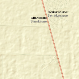 Senokosnoye Street Map