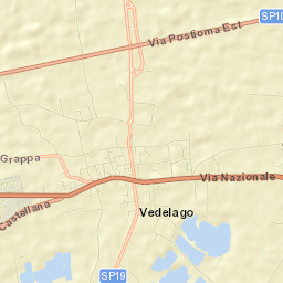 Vedelago Street Map