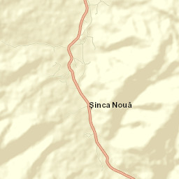 Șinca Nouă Street Map