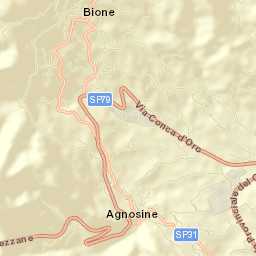 Bione Street Map