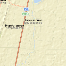 Novostepnoye Street Map