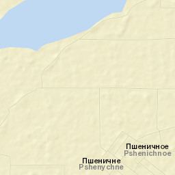 Pshenichnoye Street Map