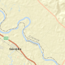 Gavojdia Street Map