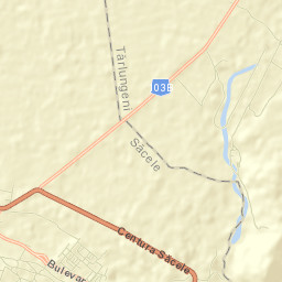 Tărlungeni Street Map