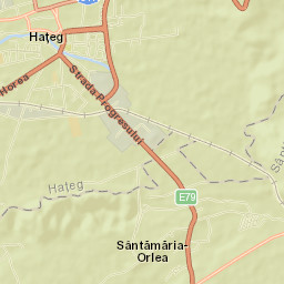 Comuna Sântămăria-Orlea Street Map