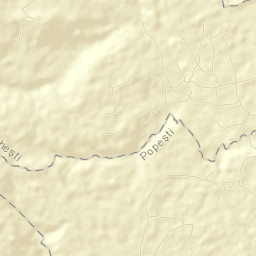 Urecheşti Street Map