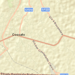 Cossato Street Map