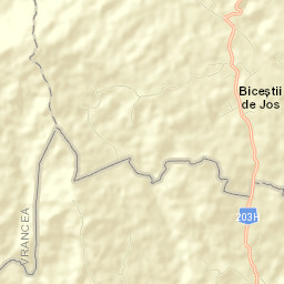 Dumitrești Street Map