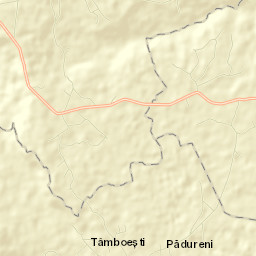 Comuna Bordeşti Street Map