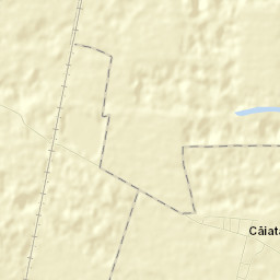 Dumbrăveni Street Map